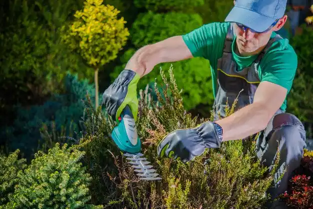landscaping services Bernice